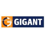 website gigant-01
